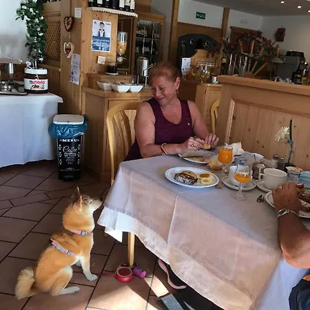 Alpine Touring Hotel-petfriendly Hotel