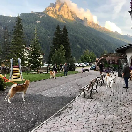 Hotel Alpine Touring Hotel-petfriendly Pozza di Fassa