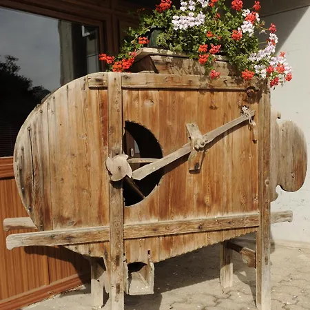Alpine Touring Hotel-petfriendly Hotel