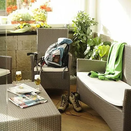 Alpine Touring Hotel-petfriendly Hotel 3*