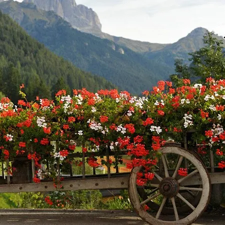 Alpine Touring Hotel-petfriendly Hotel Pozza di Fassa
