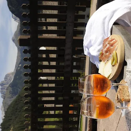 Hotel Alpine Touring Hotel-petfriendly