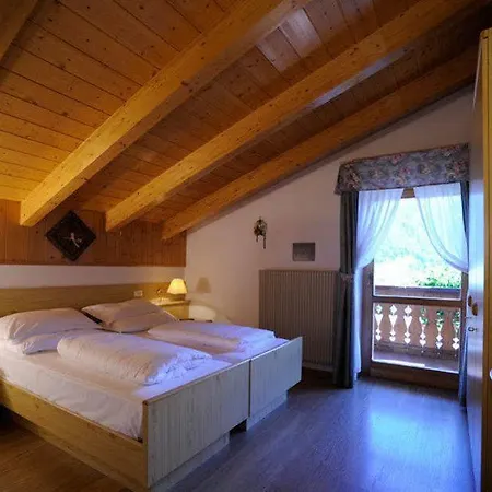 Hotel Alpine Touring Hotel-petfriendly 3*