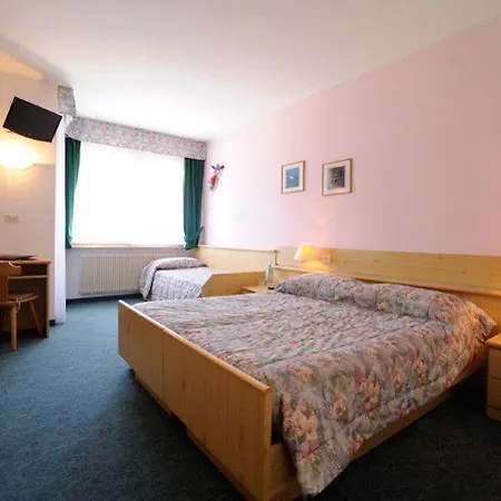 Hotel Alpine Touring Hotel-petfriendly